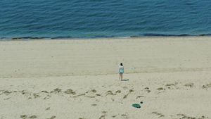 The Beach House's poster