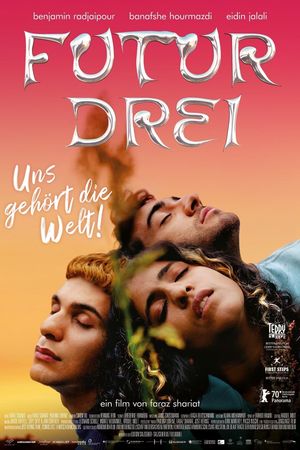 No Hard Feelings's poster