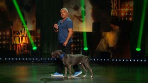 Cesar Millan: Viva Las Vegas!'s poster