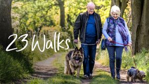 23 Walks's poster