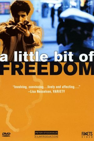 A Little Bit of Freedom's poster