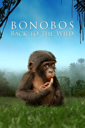 Bonobos: Back to the Wild's poster