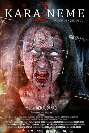 Kara Neme 2's poster