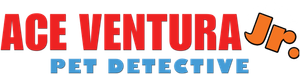 Ace Ventura Jr: Pet Detective's poster