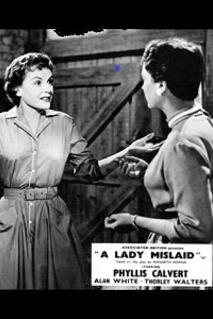 A Lady Mislaid's poster