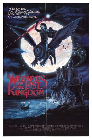 Wizards of the Lost Kingdom's poster