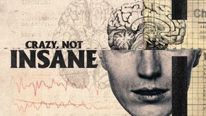 Crazy, Not Insane's poster