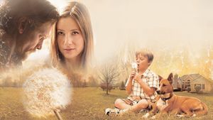 Like Dandelion Dust's poster