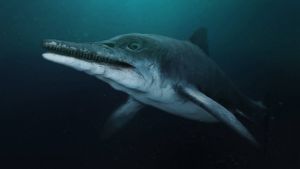 Attenborough and the Sea Dragon's poster