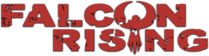 Falcon Rising's poster