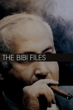 The Bibi Files's poster