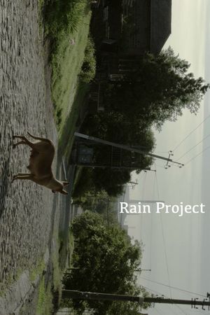 Rain Project's poster