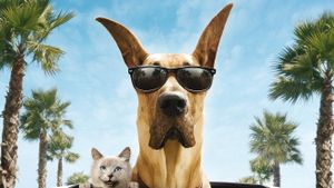 Marmaduke's poster