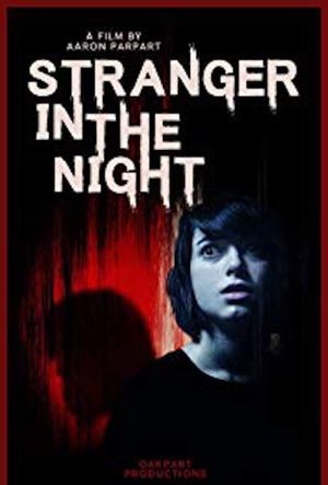 Stranger in the Night's poster