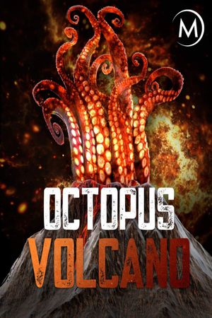 Octopus Volcano's poster