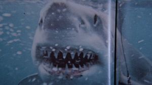 Jaws's poster