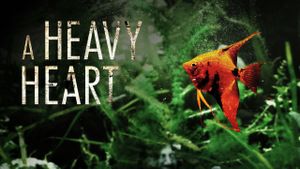 A Heavy Heart's poster