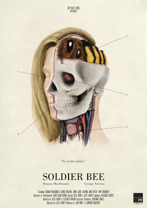 Soldier Bee's poster
