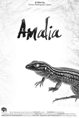 Amalia's poster