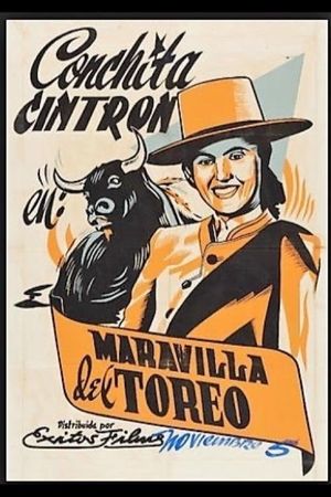 Marvels of the Bull Ring's poster