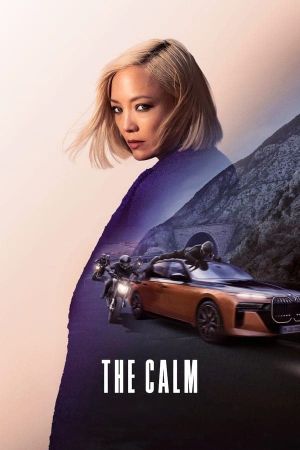 The Calm's poster