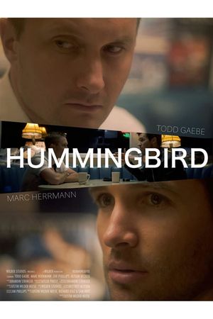 Hummingbird's poster