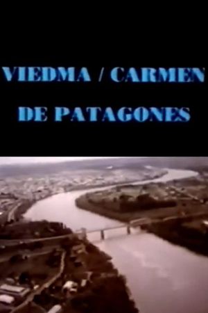 Viedma hoy's poster