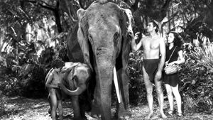 Tarzan Finds a Son!'s poster