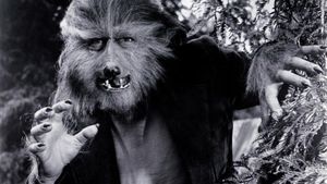 The Boy Who Cried Werewolf's poster