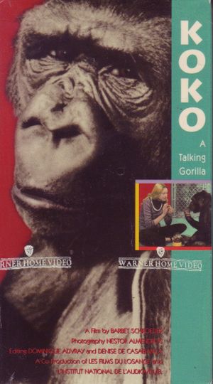 Koko: A Talking Gorilla's poster