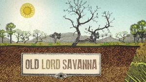 Ser Tão Velho Cerrado's poster
