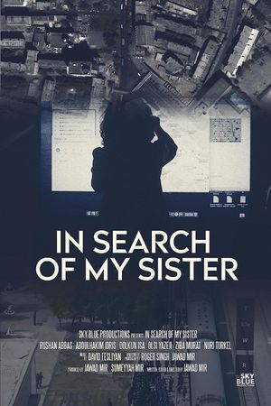 In Search of My Sister's poster