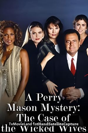 Perry Mason: The Case of the Wicked Wives's poster