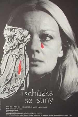 Encounter with the Shadows's poster