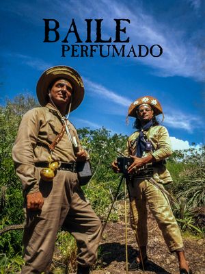 Baile Perfumado's poster