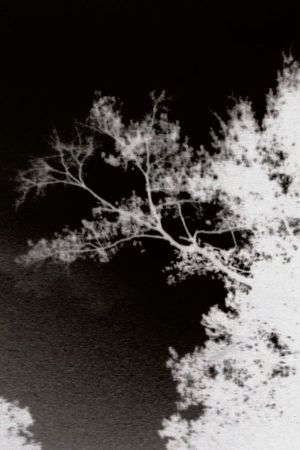 Gece ve Büyüleri's poster