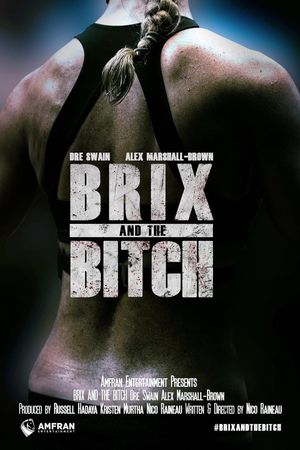 Brix and the Bitch's poster