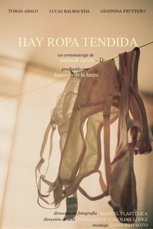 Hay ropa tendida's poster