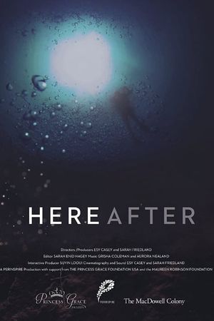 Here After's poster