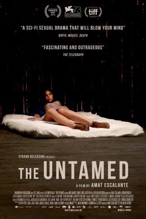 The Untamed's poster