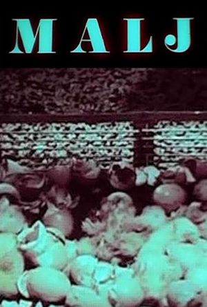 The Mallet's poster