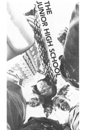 The Junior High School's poster