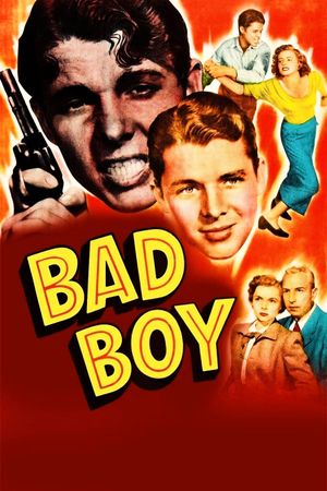 Bad Boy's poster