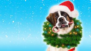 Beethoven's Christmas Adventure's poster