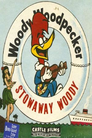 Stowaway Woody's poster image