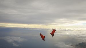 Fly's poster