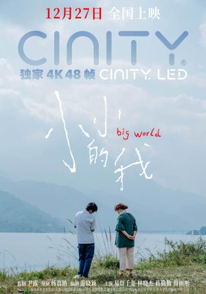 Big World's poster