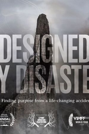 Designed by Disaster's poster