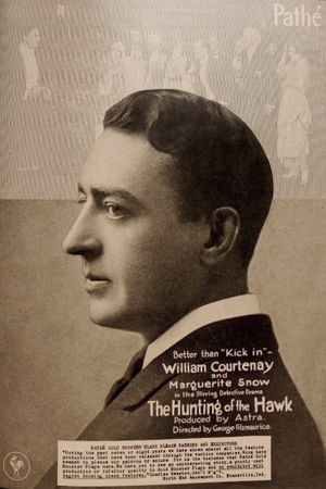 The Hunting of the Hawk's poster