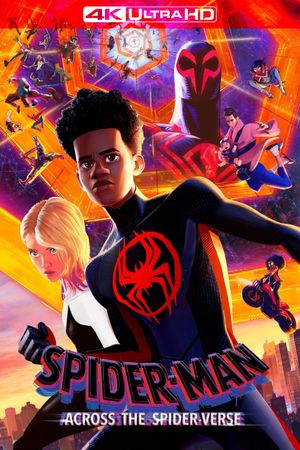 Spider-Man: Across the Spider-Verse's poster
